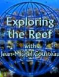 Изучение рифов (видео) (2003)