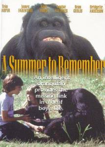 A Summer to Remember () (1985)