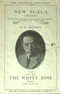   (1923)