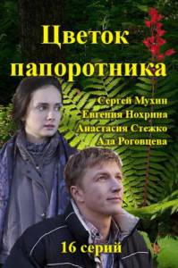   () (2015)