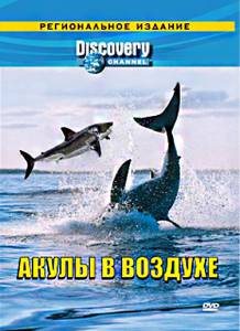 Discovery:    () (2002)