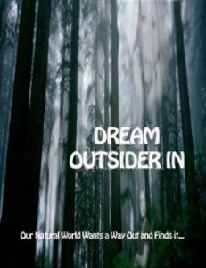 Dream - Outsider In (-)