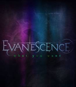 Evanescence: What You Want () (2011)