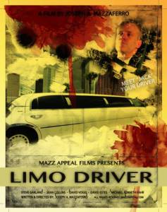Limo Driver (2015)