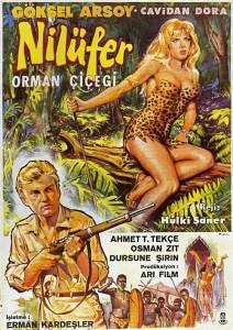 Nilfer orman iegi (1960)
