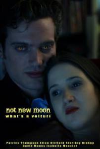 Not New Moon. What's a Volturi? () (2009)