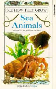 See How They Grow: Sea Animals () (1995)