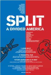 Split: A Divided America (2008)