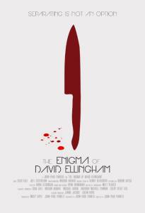The Enigma of David Ellingham (2014)