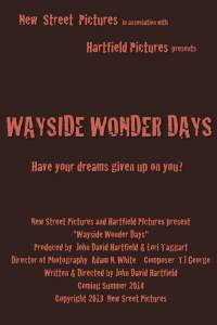 Wayside Wonder Days (-)
